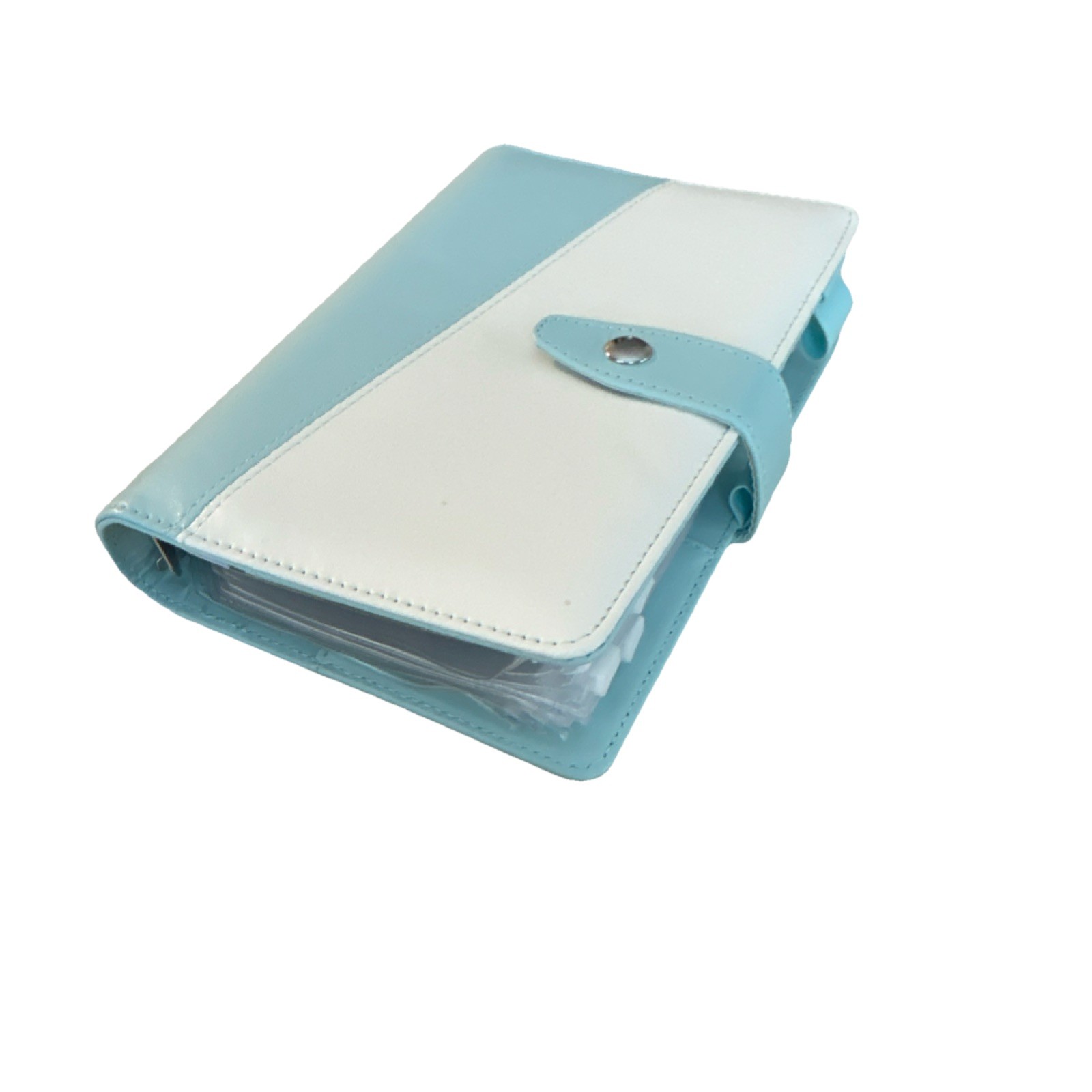 Blue and White Small Budget Organizer with Cash pockets, Card Slots, and Labels,