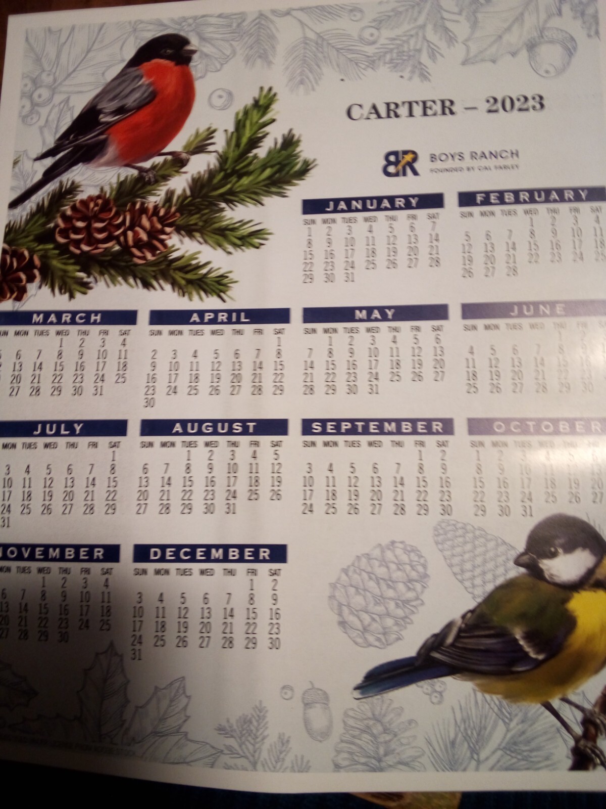 (NEW) 2023 BOYS RANCH 12 Month WALL Calendar Card BIRD THEME 8.5″ x 7″ Free SHIP