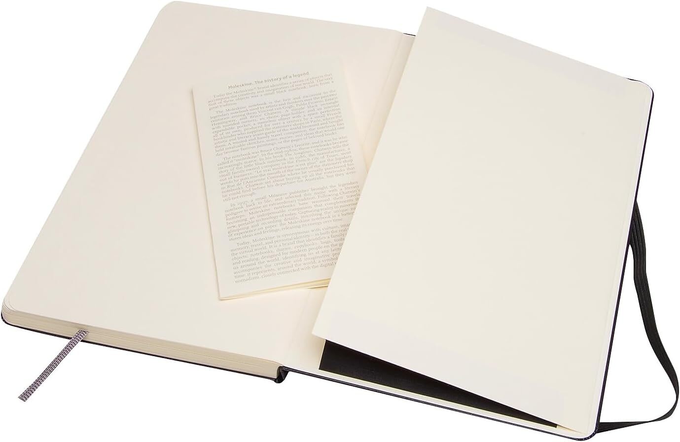 Moleskine Large Art Sketchbook Black Hardcover 104 Pages Plain Journal