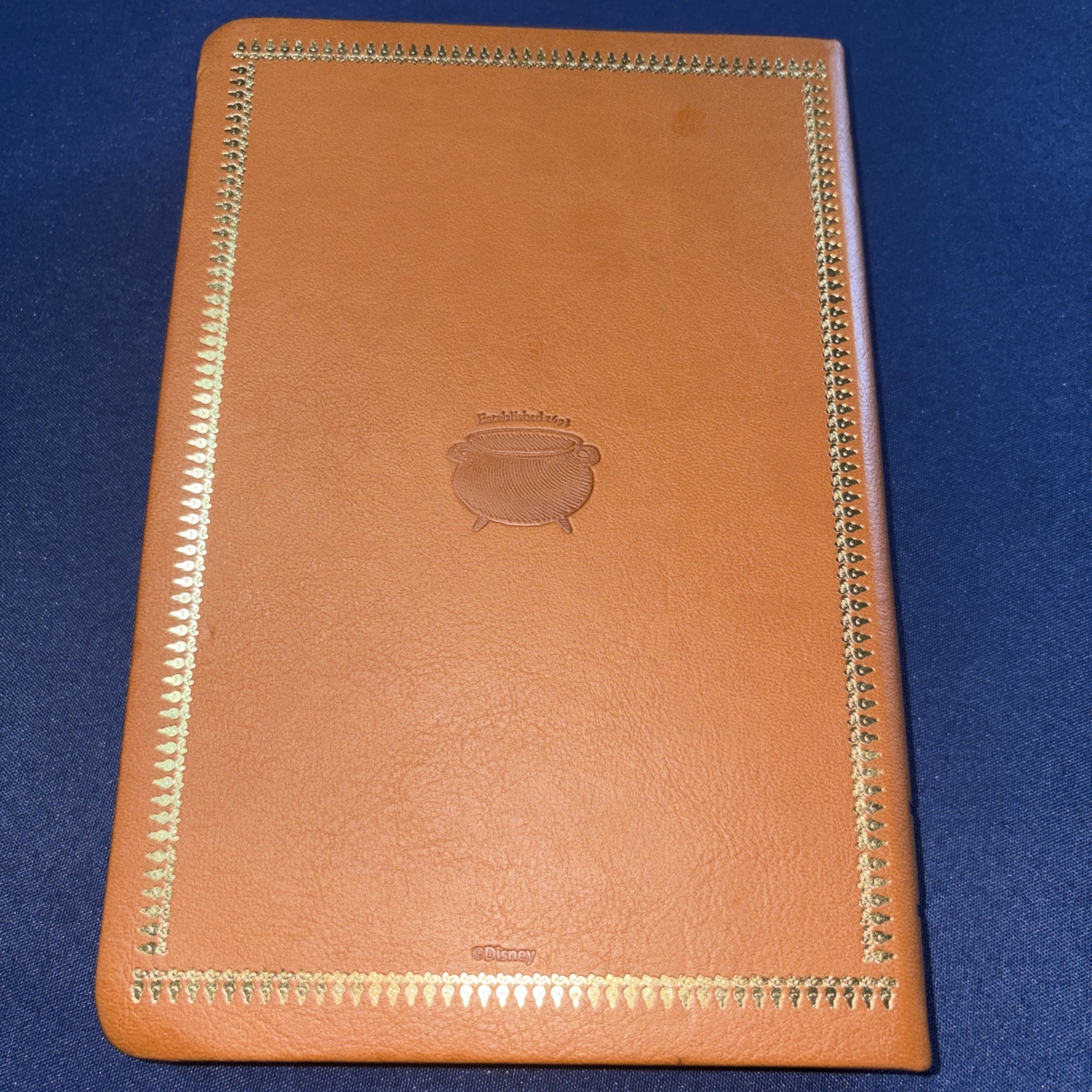 Disney Hocus Pocus 1693 Leatherbound Journal Notebook Spell Book New Unused