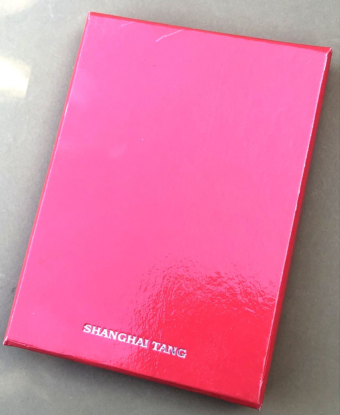 Shanghai Tang Leather Notebook/Journal Embossed Dragon Open Box