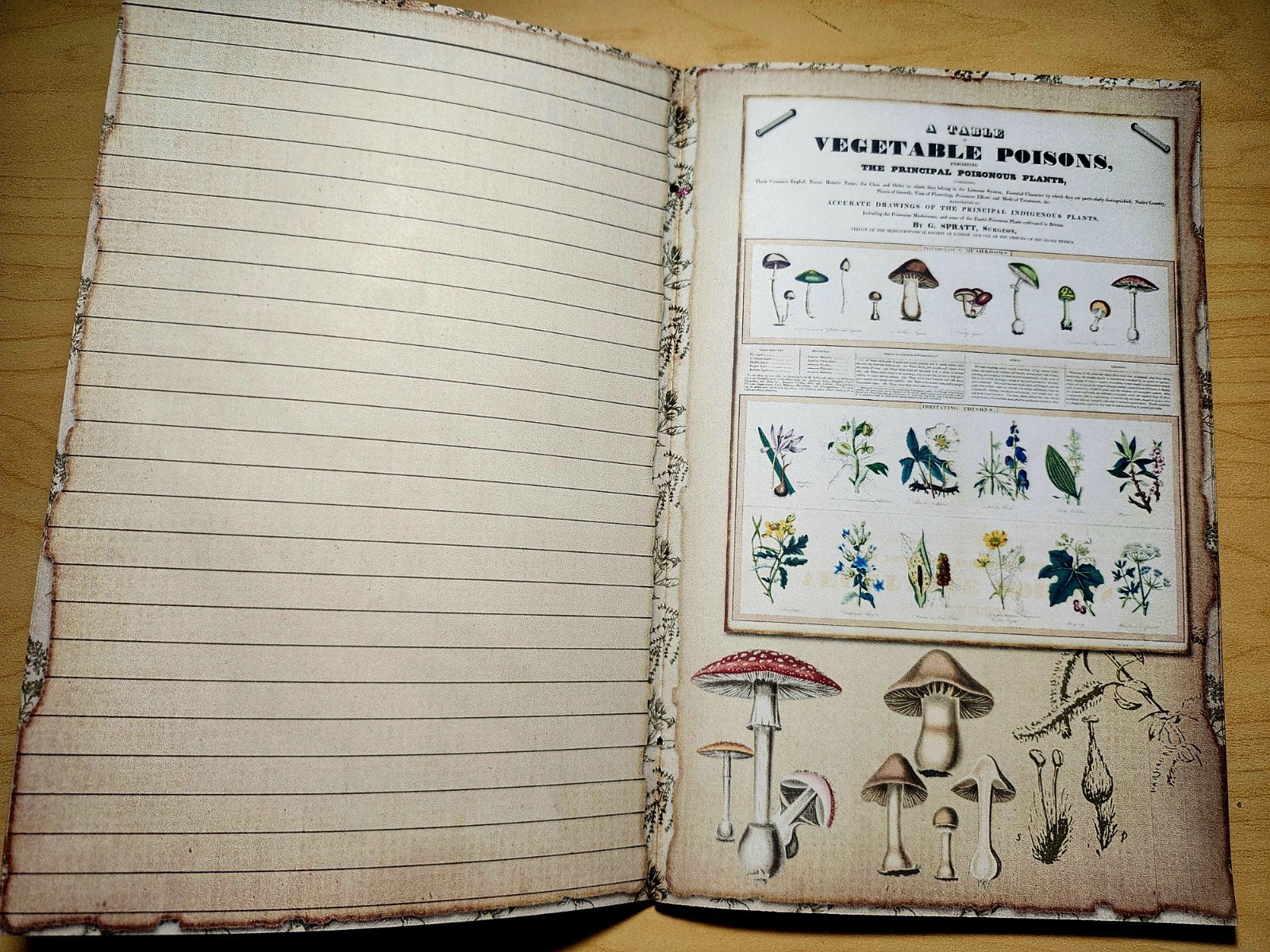 Junk Journal Booklet “BOTANY” Handmade Botanical Wildflowers Lg 8.5″x5.5″ 40pgs