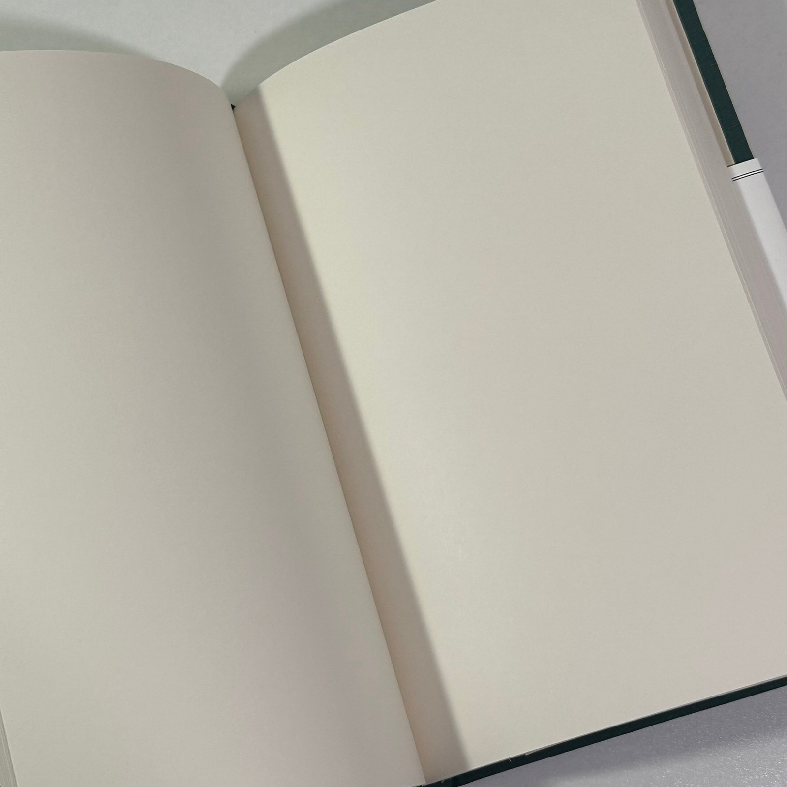 Shinola Detroit Plain Pages Journal Notebook RVM Monogram Green New