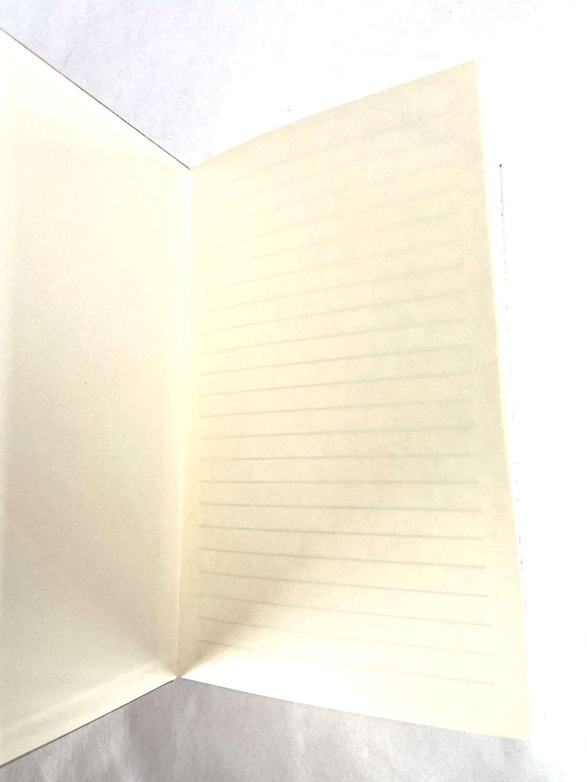 Cork Diary Journal Notebook Brand New Designed Map Of Sun Valley Idaho 8.25×5.5