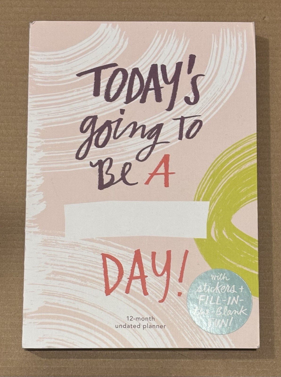 12 Month Undated Planner Today’s Going to be a FILL in the BLANKS Day Stickers
