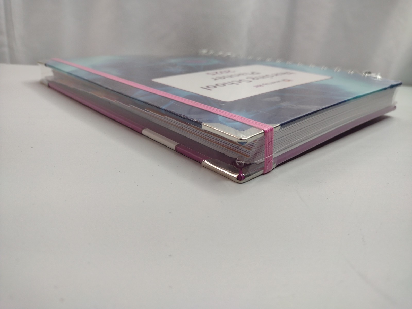 Level Up RN Nursing School Planner 2025 Nursing Student Gift Planner Study New