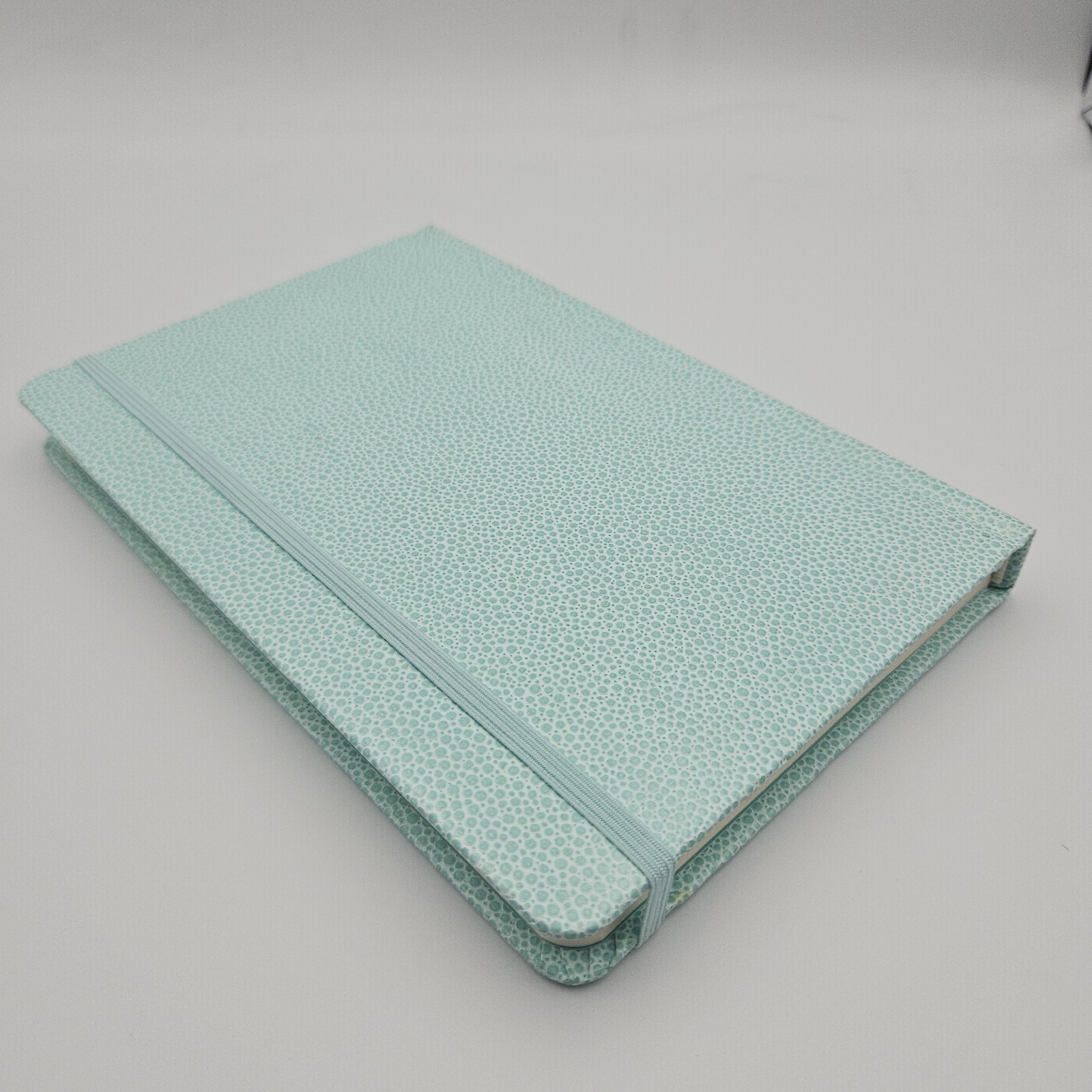 Martha Stewart Shagreen Journal 5.5×8.5 inches with 212 lined pages