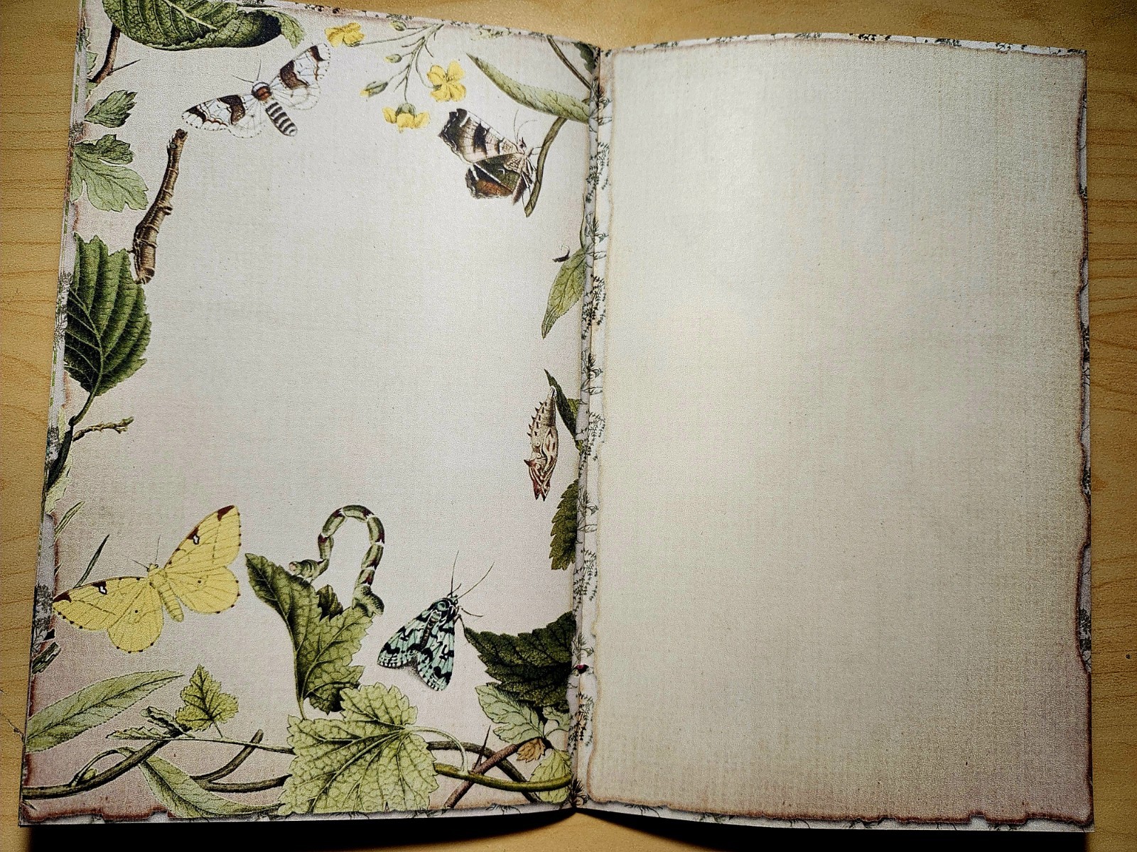 Junk Journal Booklet “BOTANY” Handmade Botanical Wildflowers Lg 8.5″x5.5″ 40pgs