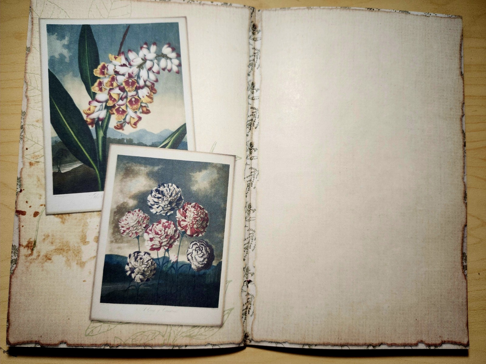 Junk Journal Booklet “BOTANY” Handmade Botanical Wildflowers Lg 8.5″x5.5″ 40pgs