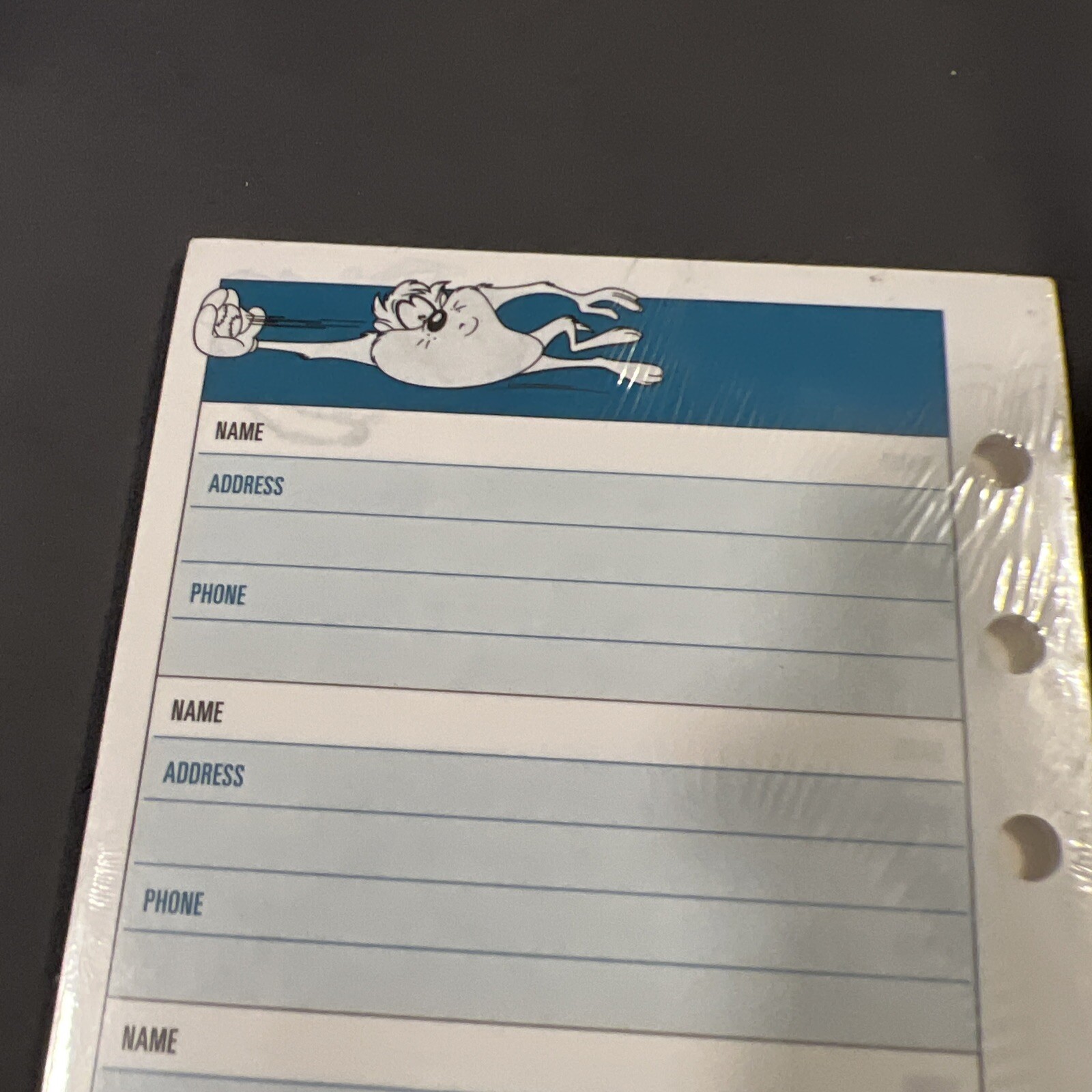 Vintage (1996) Day Runner Looney Too Ns Telephone/address Inserts For Planner