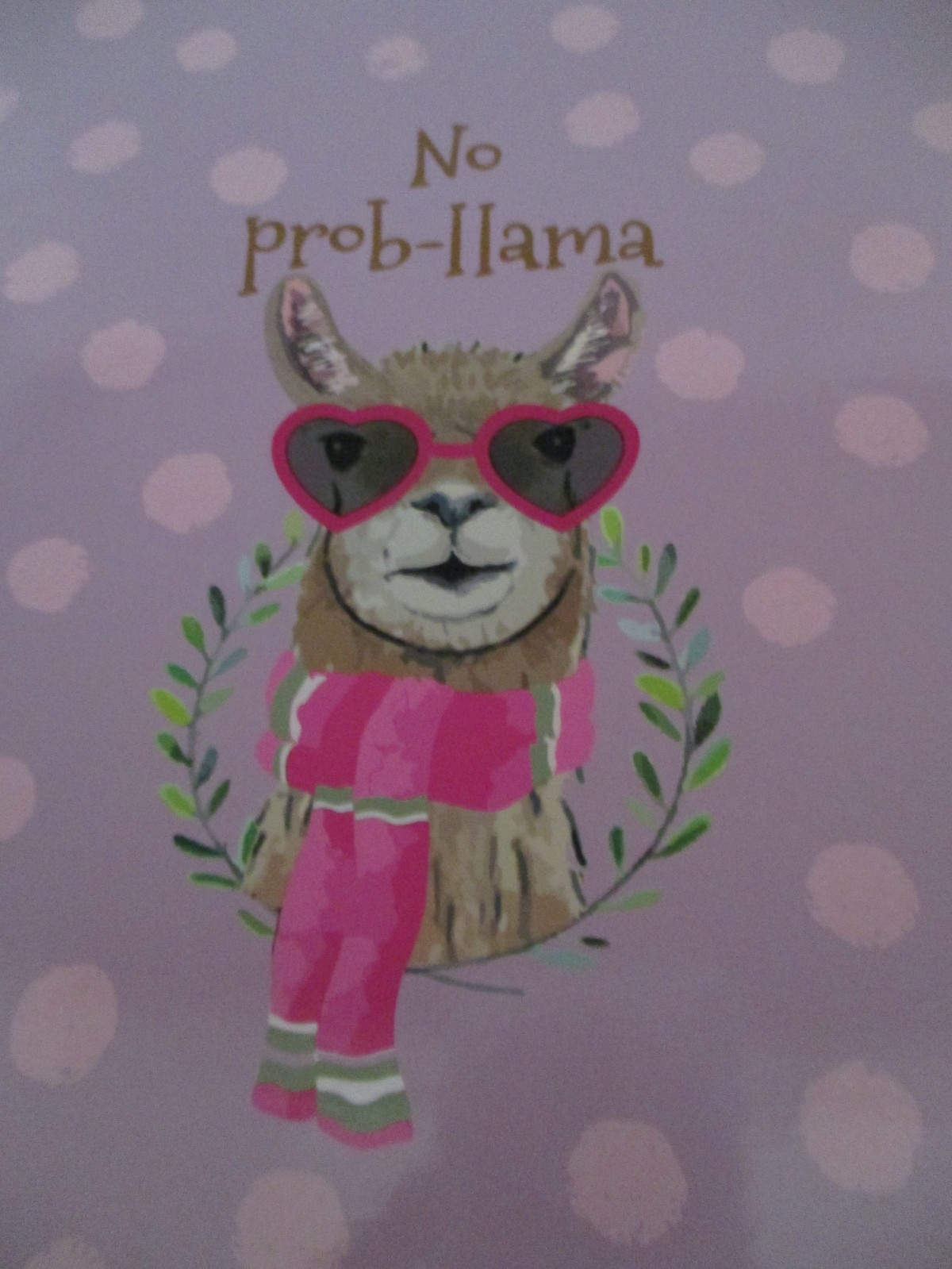 No Prob Lllama Softcover Lined Blank Paper Journal ~Brand New🌹Ships Free