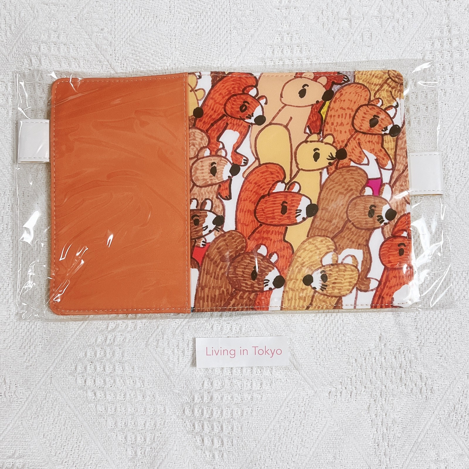 Hobonichi Techo A6 Cover 100%ORANGE Risu ga Zorozoro Squirrel Design Japan