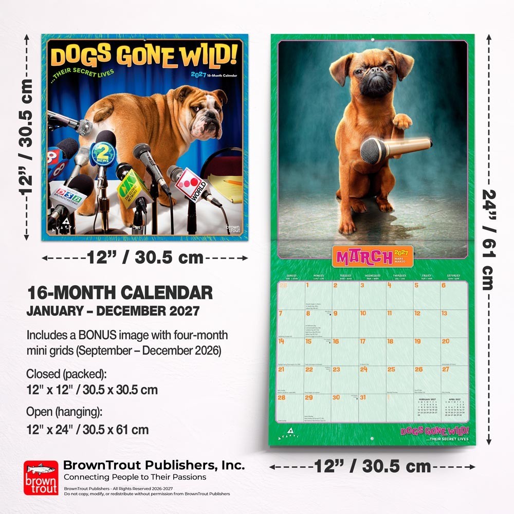 Avanti Dogs Gone Wild OFFICIAL | 2027 12×24″ (Hanging) Square Wall Calendar