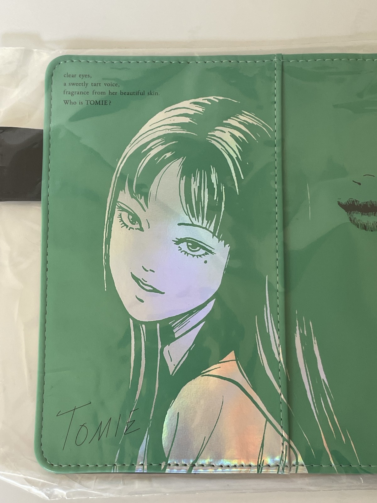 Hobonichi Techo Cousin A6 Ito Junji Tomie Memory Cover Green ＆ pinck Design NEW