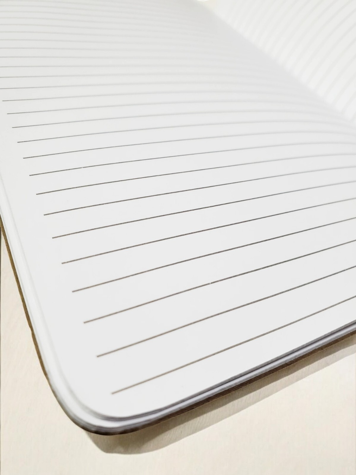 Wild Silver Striped and Cork Hardcover Journal Diary: Adrienne Vittadini Studio
