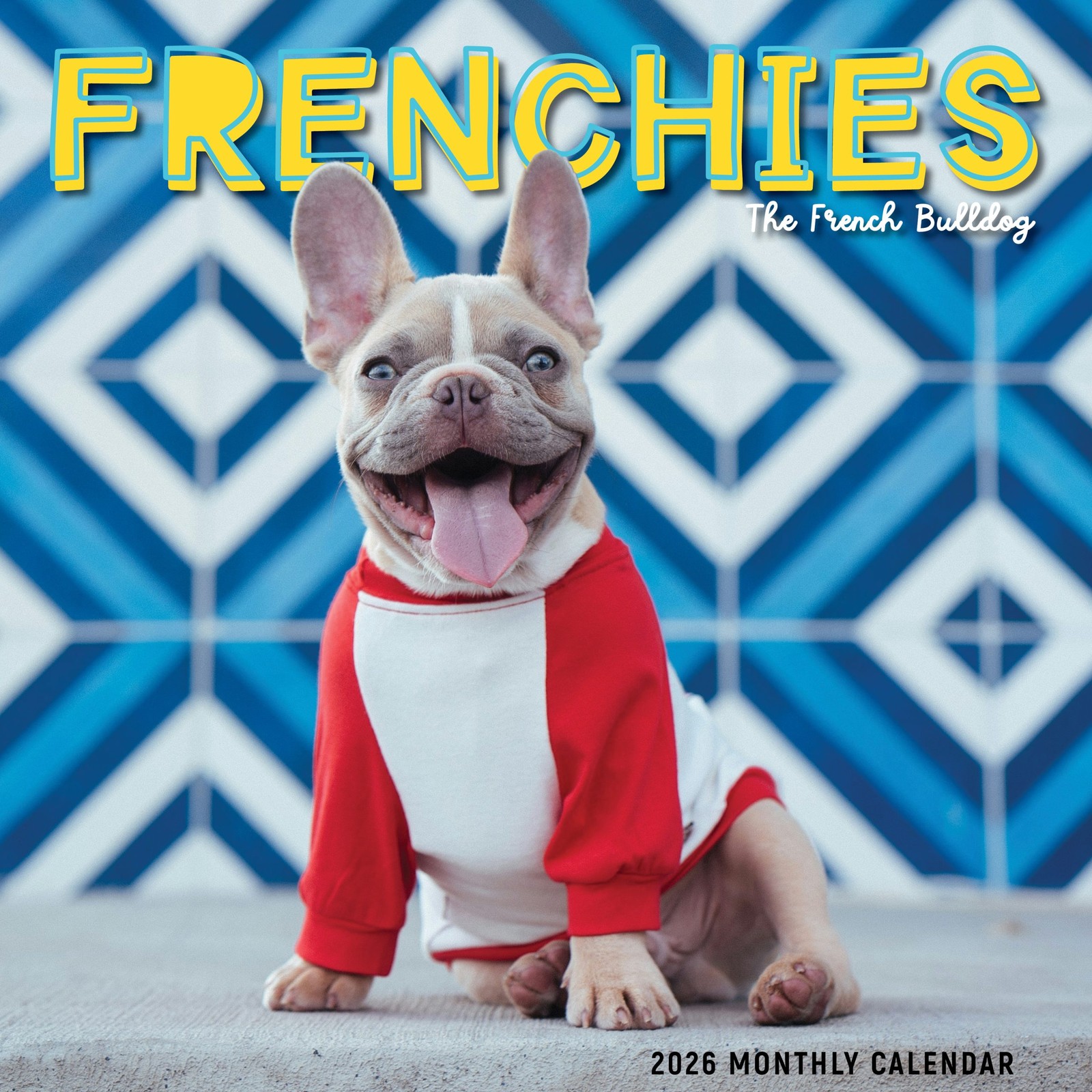 Frenchies Calendar 2026 | 12″ x 24″ 12 Month Calendar | Marble City Press