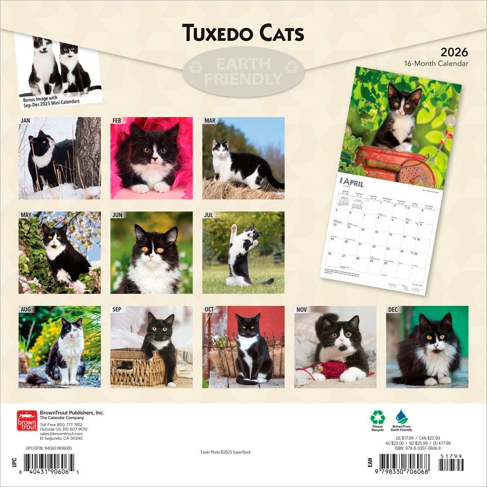 Tuxedo Cats | 2026 12×24″ (Hanging) Monthly Square Wall Calendar | Plastic-Free