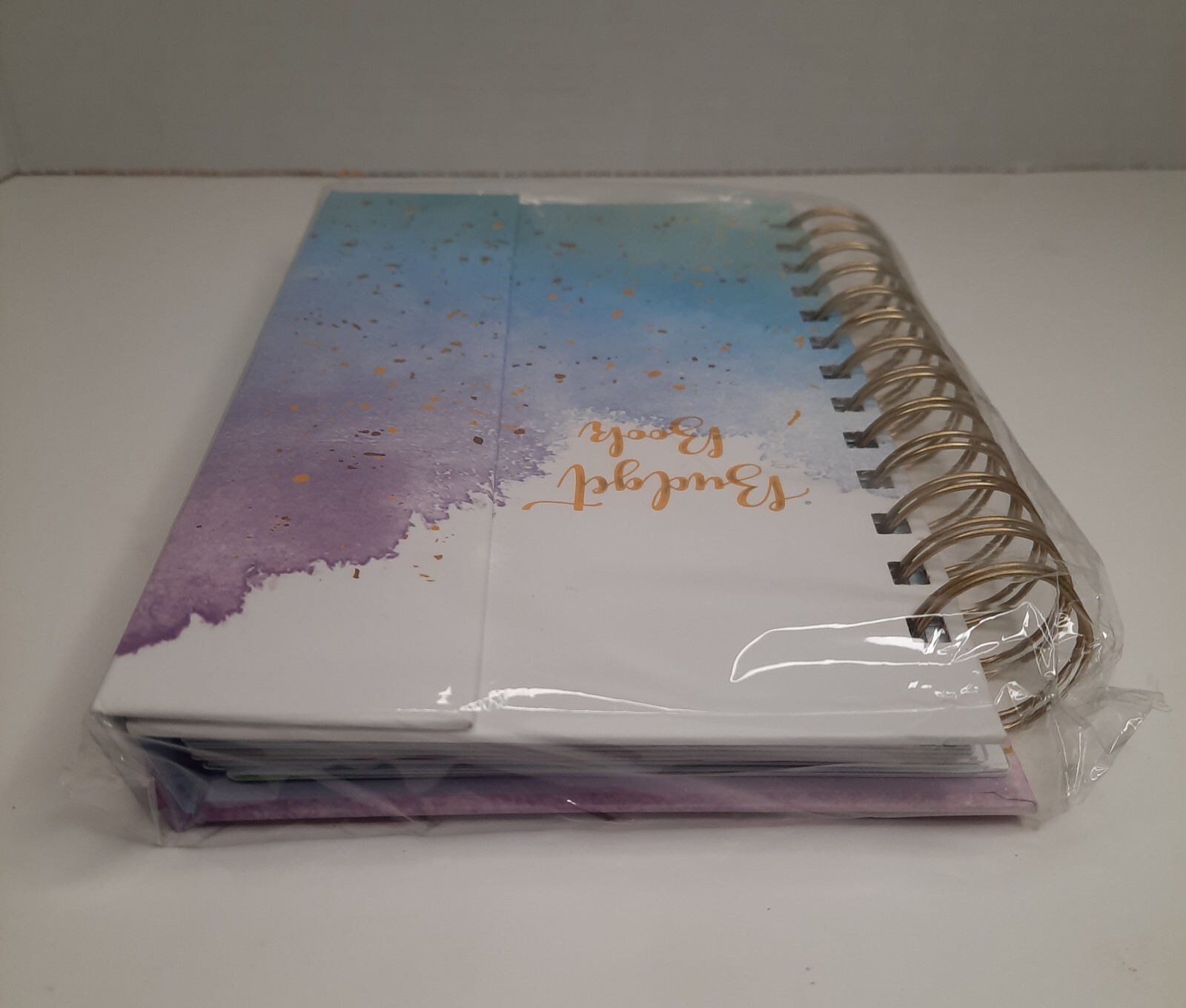 Budget Planner~12 Month Undated Budget Book~Expense Tracker~5.3″x7.6″ Pink/Blue