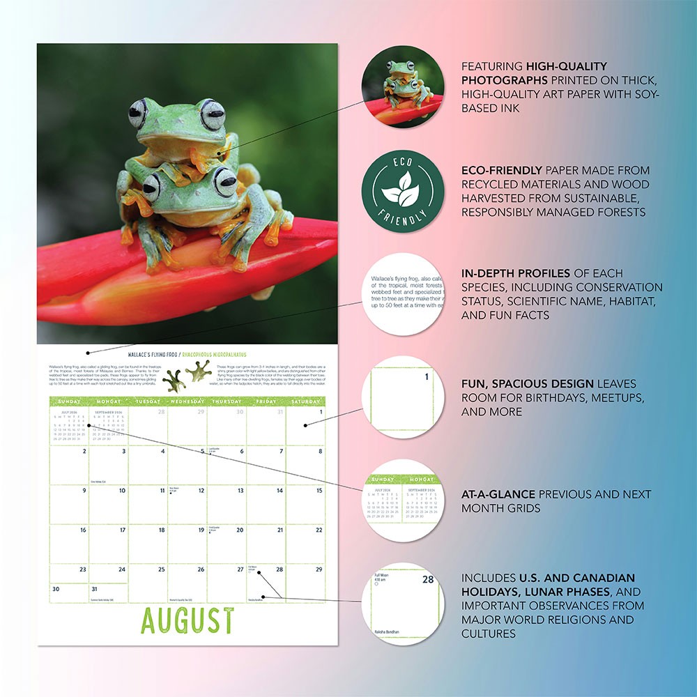 Frogs Calendar 2026 | 12″ x 24″ 12 Month Calendar | Marble City Press