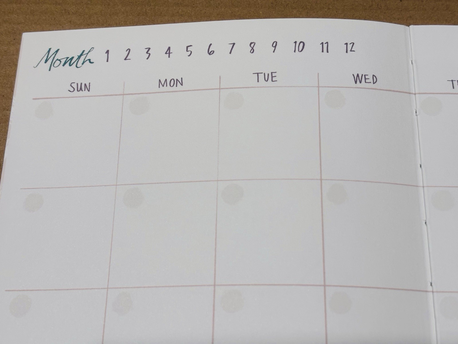 12 Month Undated Planner Today’s Going to be a FILL in the BLANKS Day Stickers