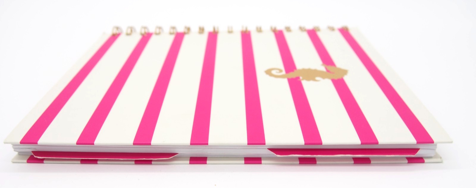 Class Act SET SAIL Nautical Pink White Seahorse Spiral Notebook Journal 120p New