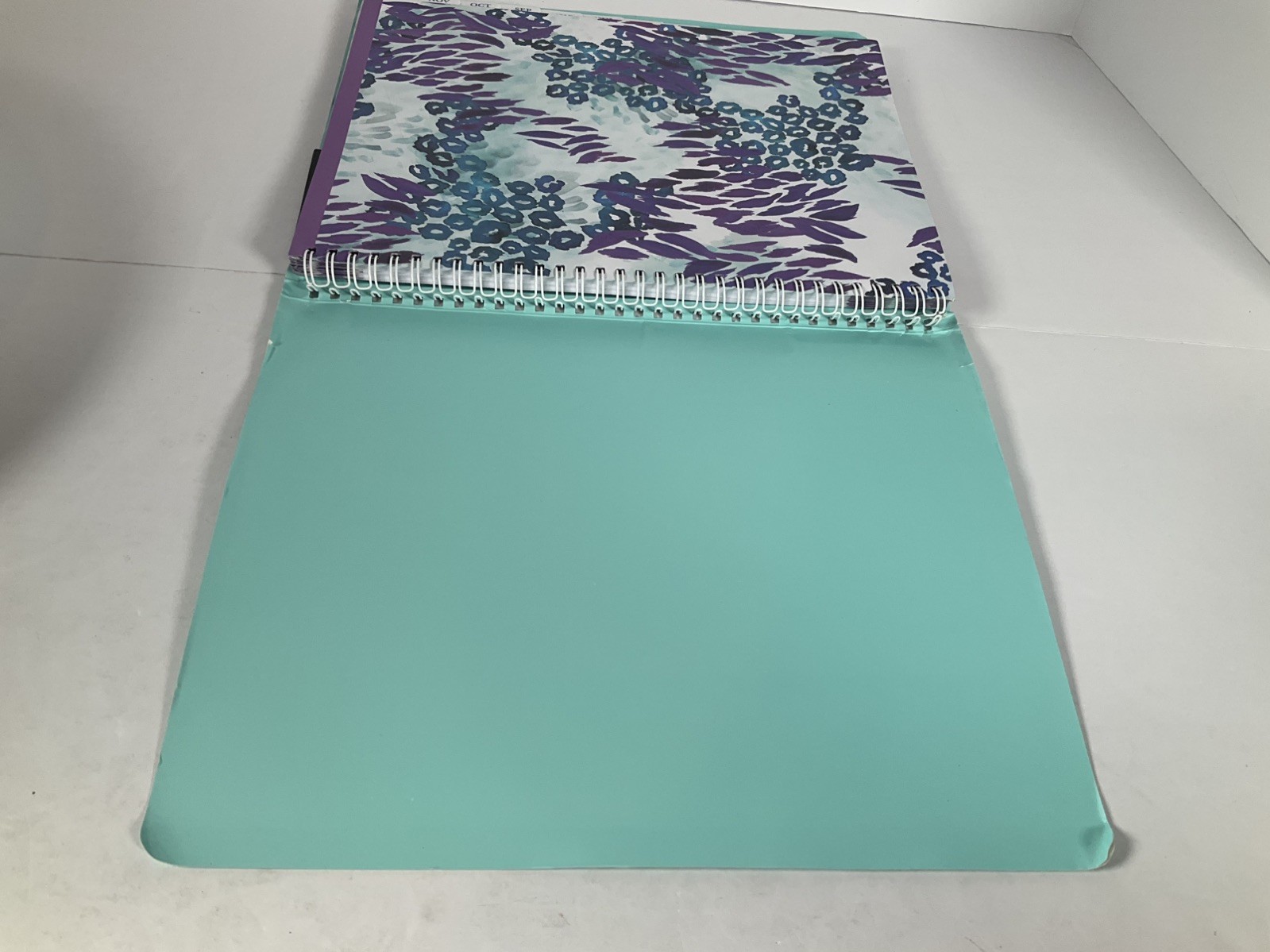 At-A-Glance My Week 2026 Planner Wild Washes Blue 523-905