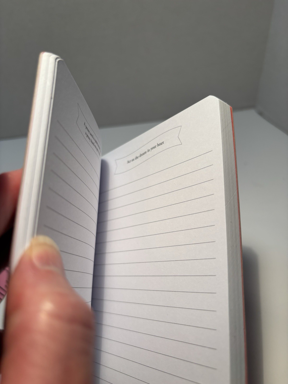 Fortune Cookie Journal: Different Fortune Each Page Lined Pages Small NEW 6×4