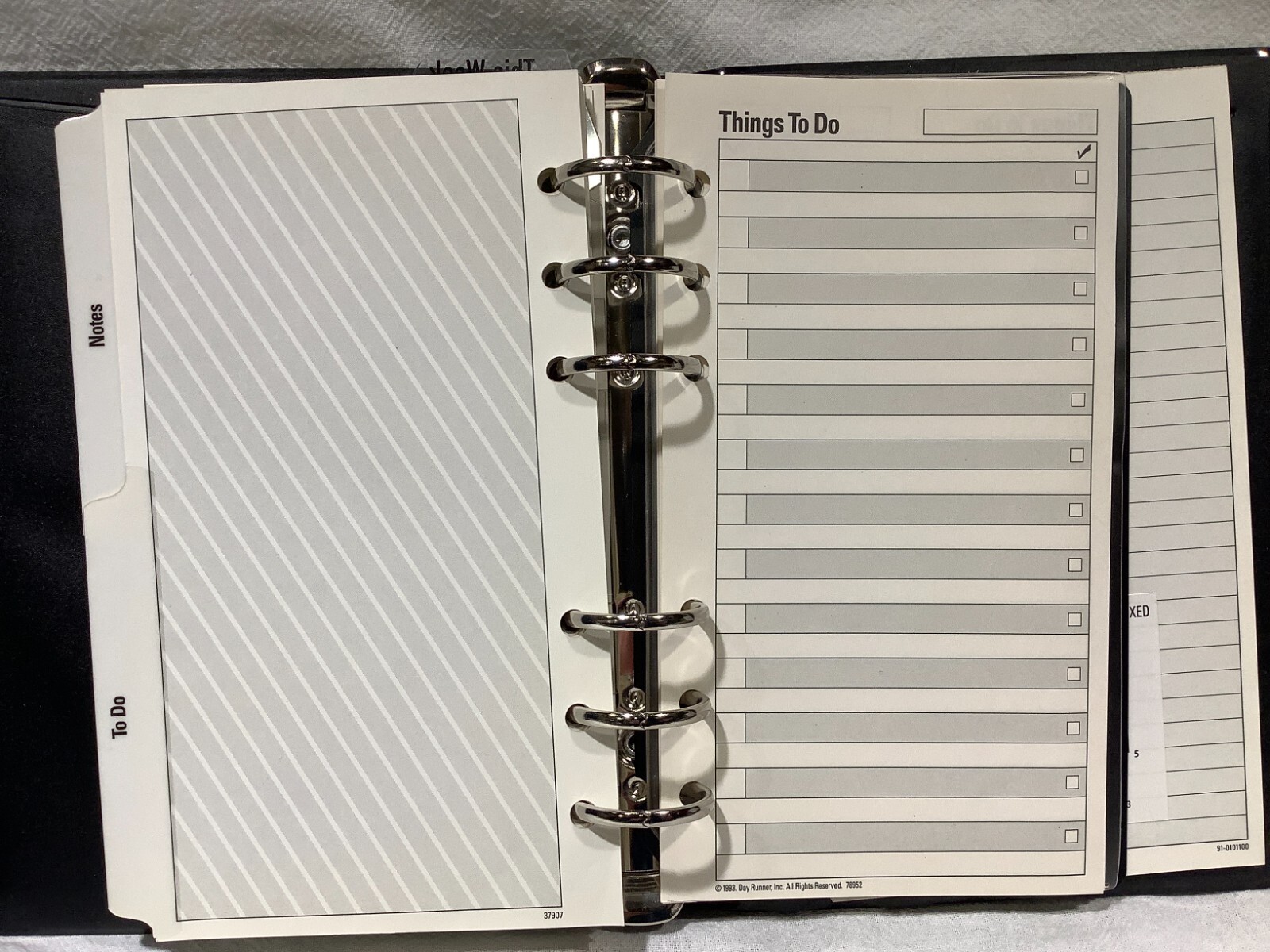 Vintage Looney Tunes Day Runner Student Planner Organizer 1996 Taz/Looney Tunes