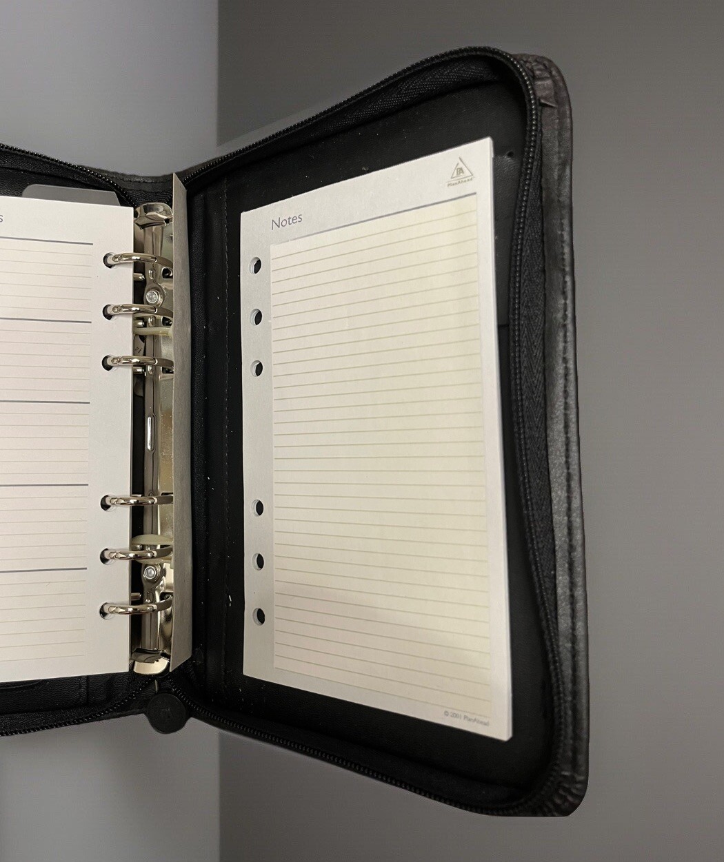 Plan Ahead 6 Ring Small Fleetwood Organizer Non Dated Weekly/Monthly 6×9 Zipped