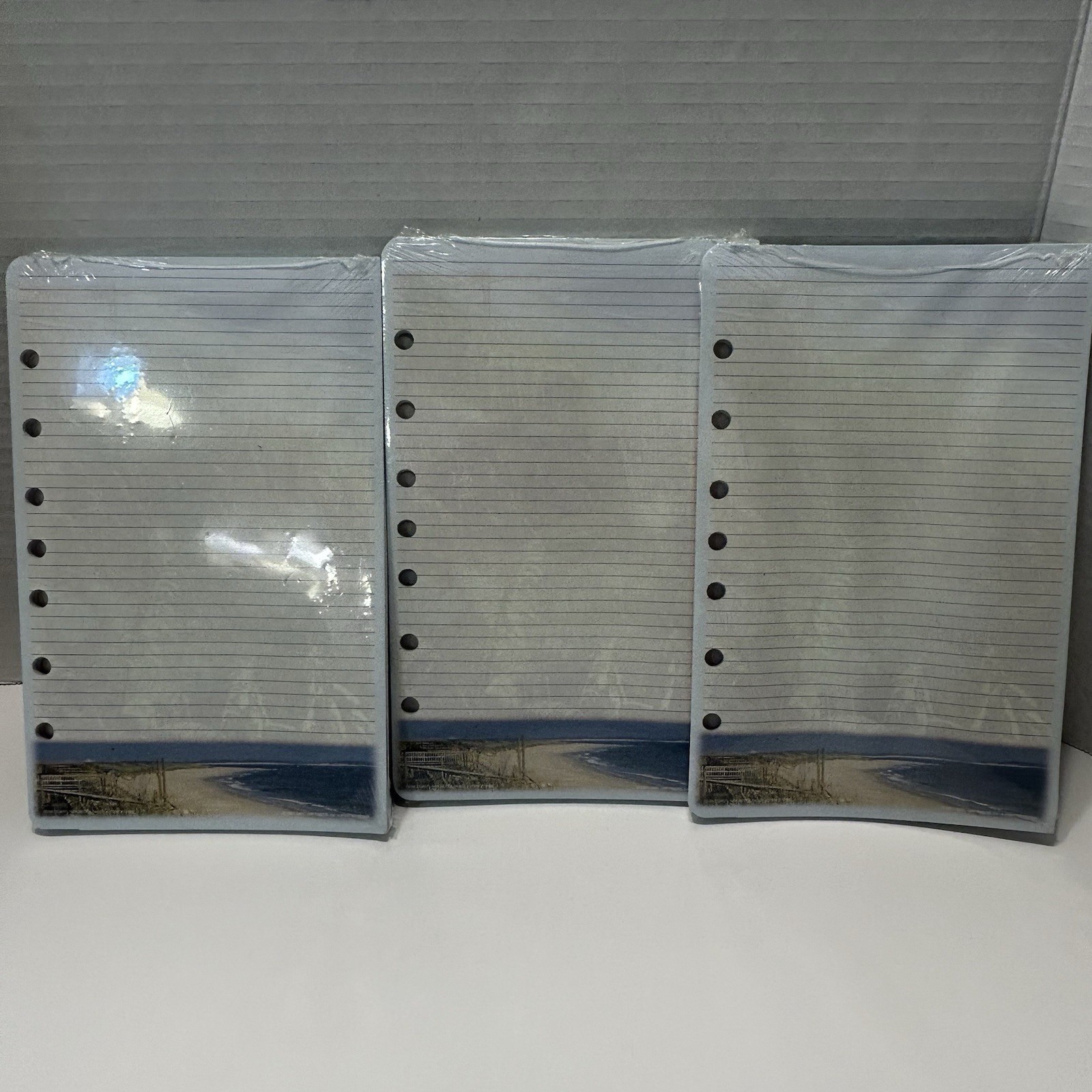 Day-Timer Note Pads COASTLINES 5.5 x 8.5 2 Pads 24 Sheets Vtg 2004 SEALED Lot 3