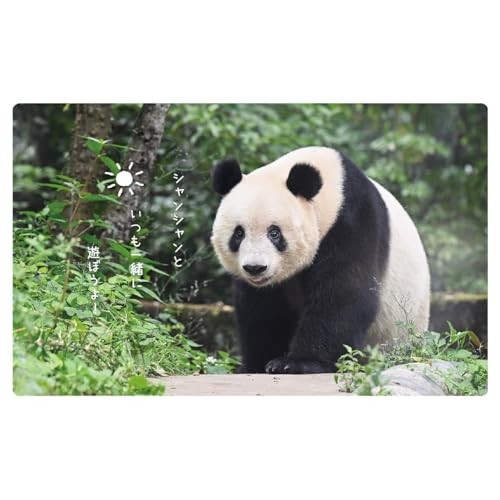 2026 Calendar Xiang Xiang Panda Senryu in China by Takahiro Takashifrom JP