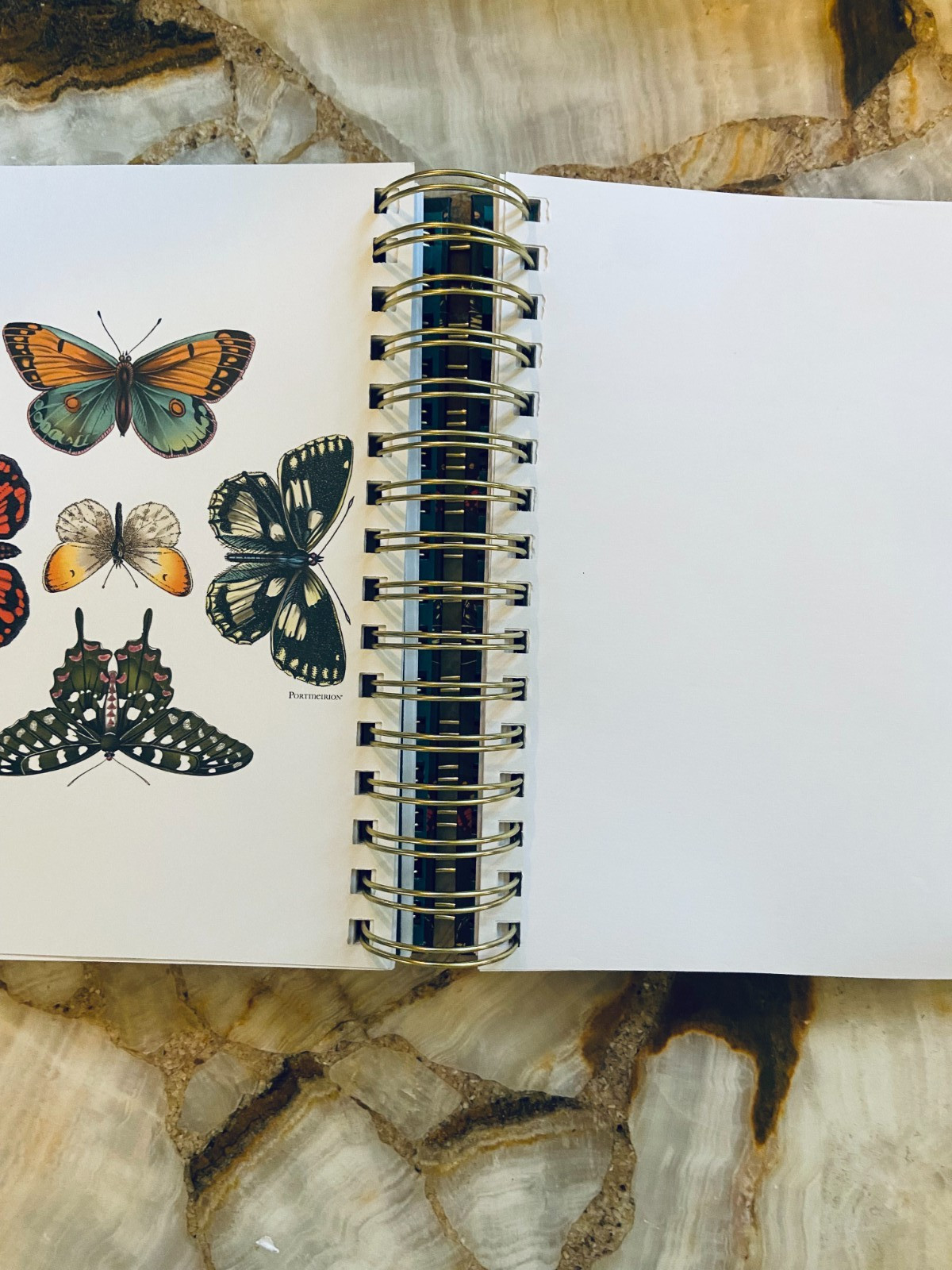 C.R.GIBSON~Portmeirion~Botanic Garden Harmony~Twin Wire~3-in-1 Notebook