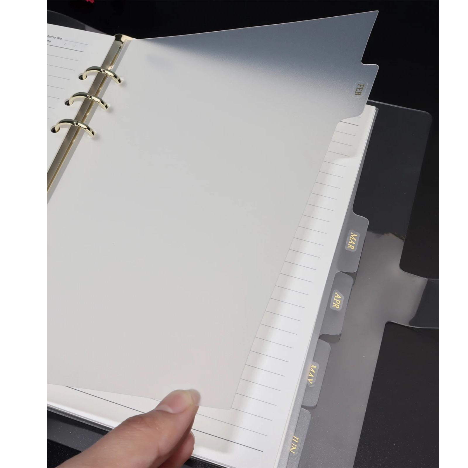 12 Pc Frosted Binder Divider | Foiled Monthly Divider | Planner Divider Inserts