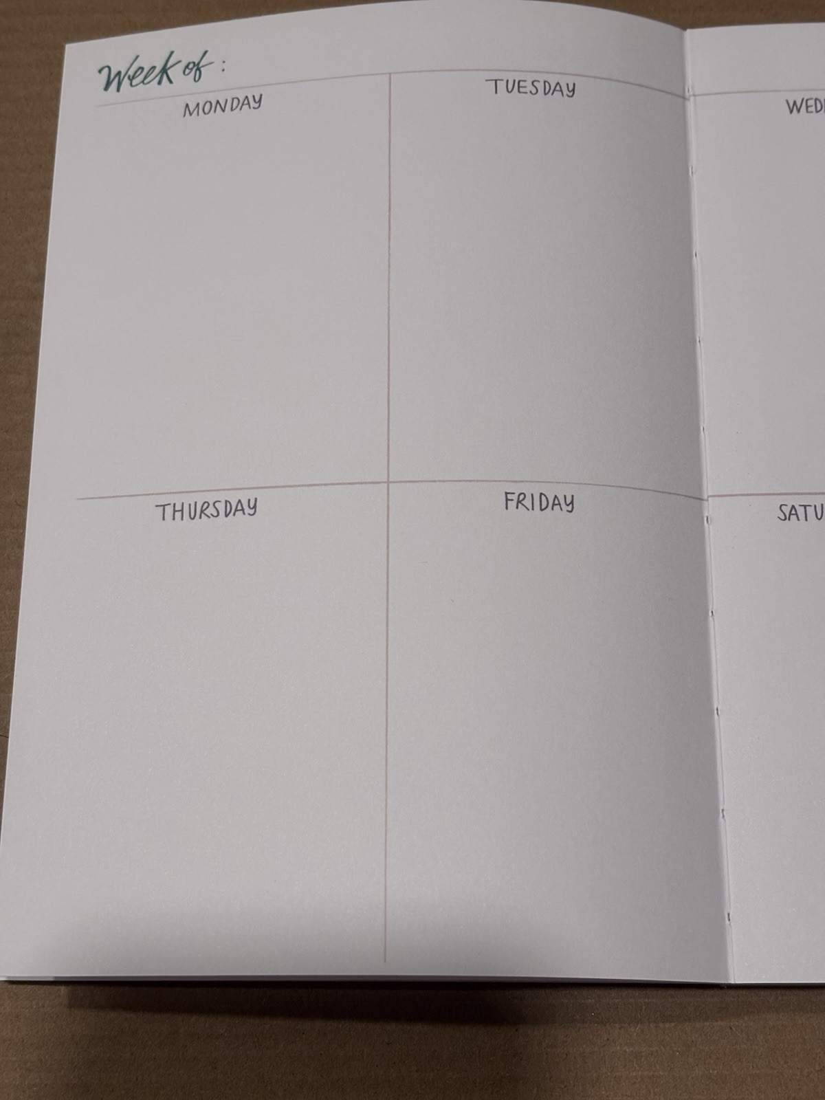 12 Month Undated Planner Today’s Going to be a FILL in the BLANKS Day Stickers