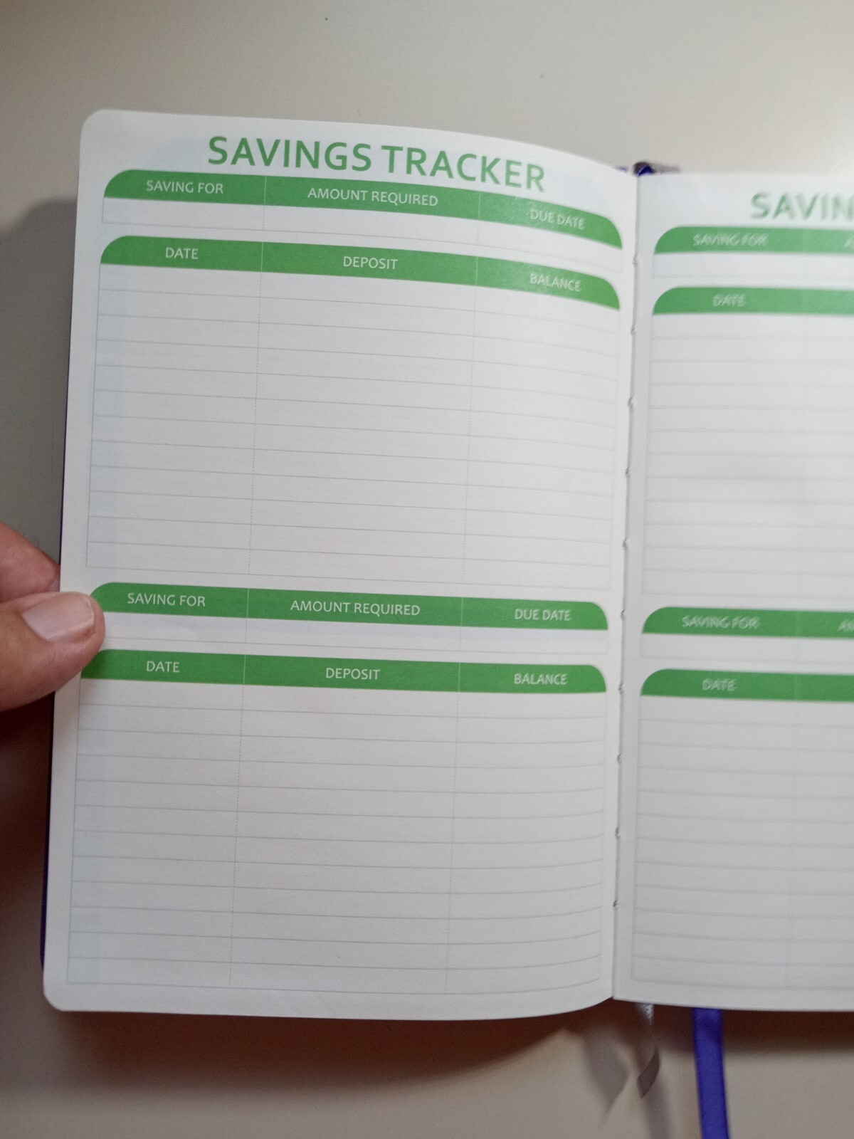 Feels Undated Budget Planner NEW With Pen