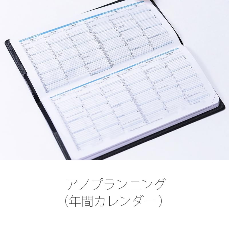 New Color: Quo Vadis 2025 Edition Planner Diary “By Planning/Ampara” (Weekly Ver