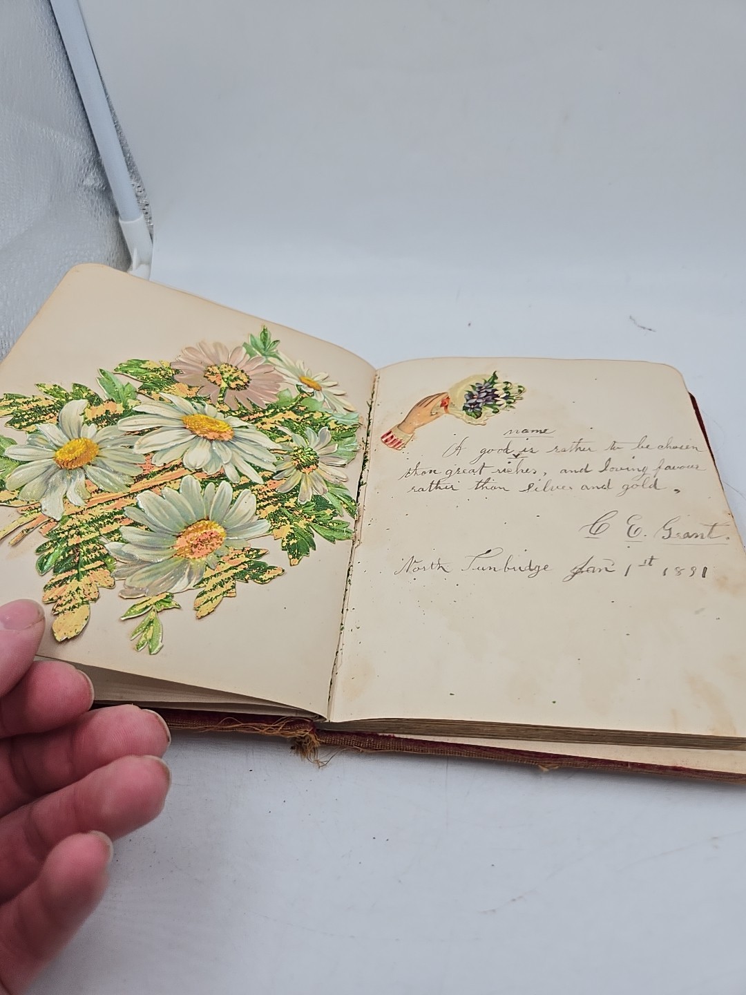 vintage late 1800s Journal
