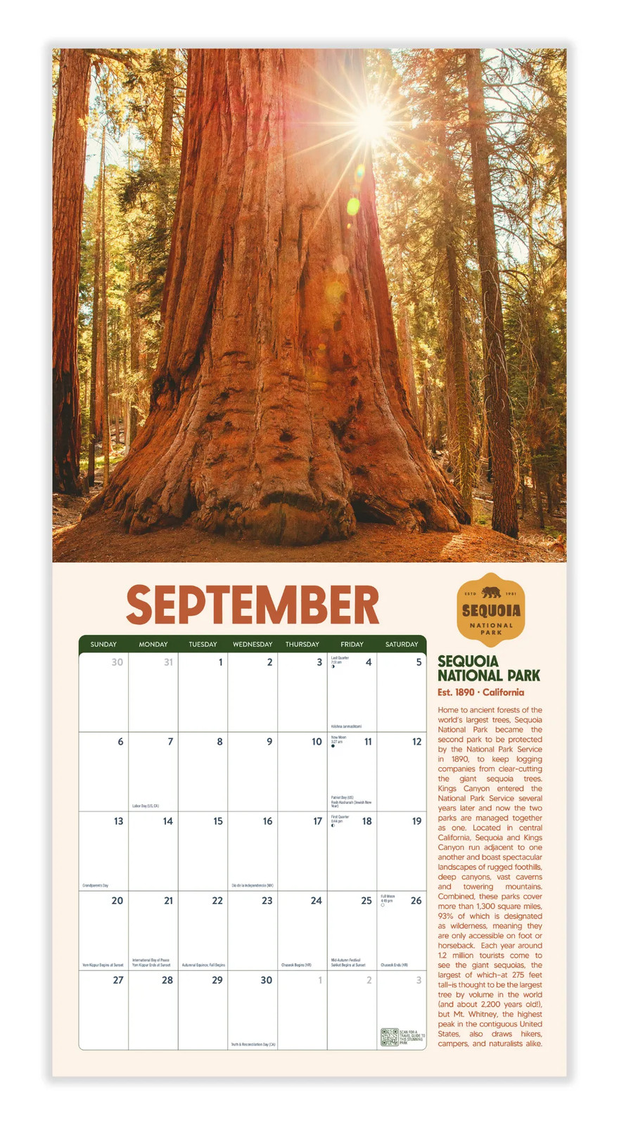 National Parks Calendar 2026 | 12″ x 24″ 12 Month Calendar | Marble City Press