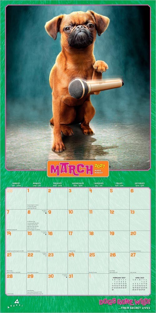 Avanti Dogs Gone Wild OFFICIAL | 2027 12×24″ (Hanging) Square Wall Calendar