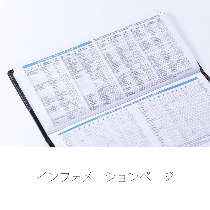 New Color: Quo Vadis 2025 Edition Planner Diary “By Planning/Ampara” (Weekly Ver