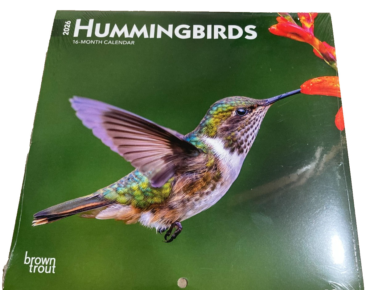 HUMMINGBIRDS 2026 7″ x 7″ Mini Wall Calendar GREAT PICTURES!