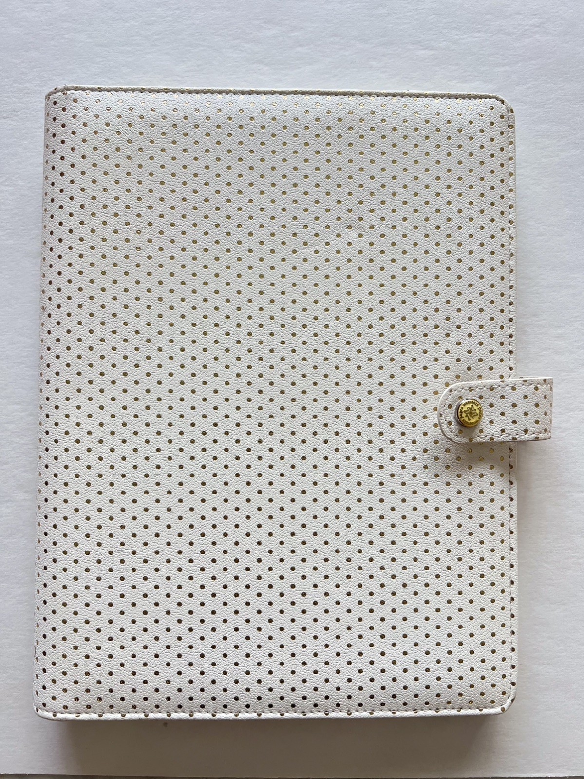 Webster’s Pages Gold Polka Dot Crush A4 Faux Leather Composition Planner 8″X10″