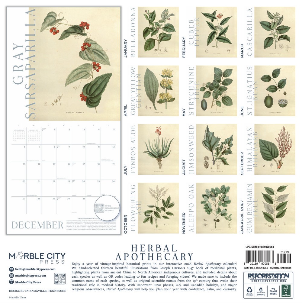 Herbal Apothecary Calendar 2026 | 12″ x 24″ 12 Month | Marble City Press
