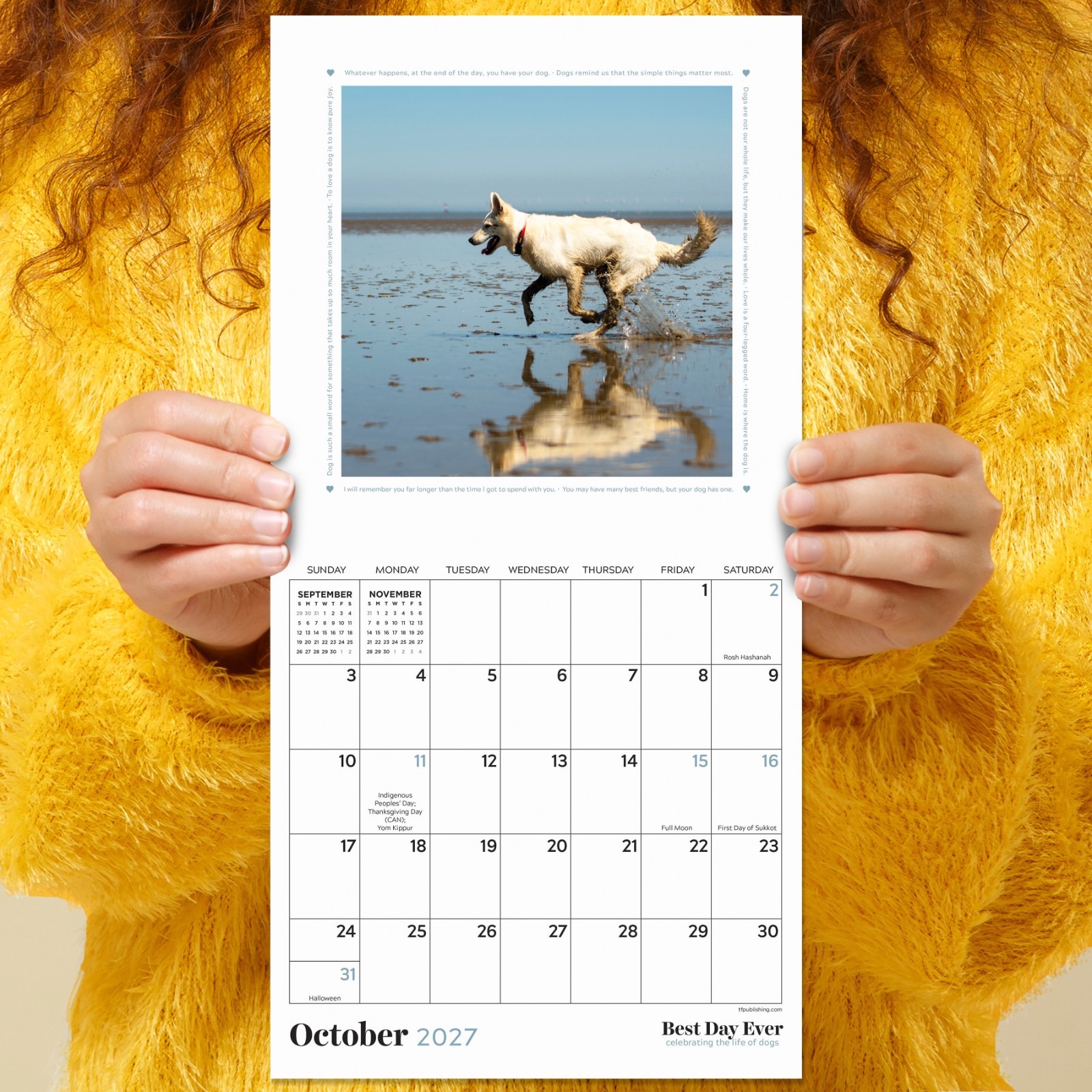 2027 Best Day Ever: Dogs Mini Calendar