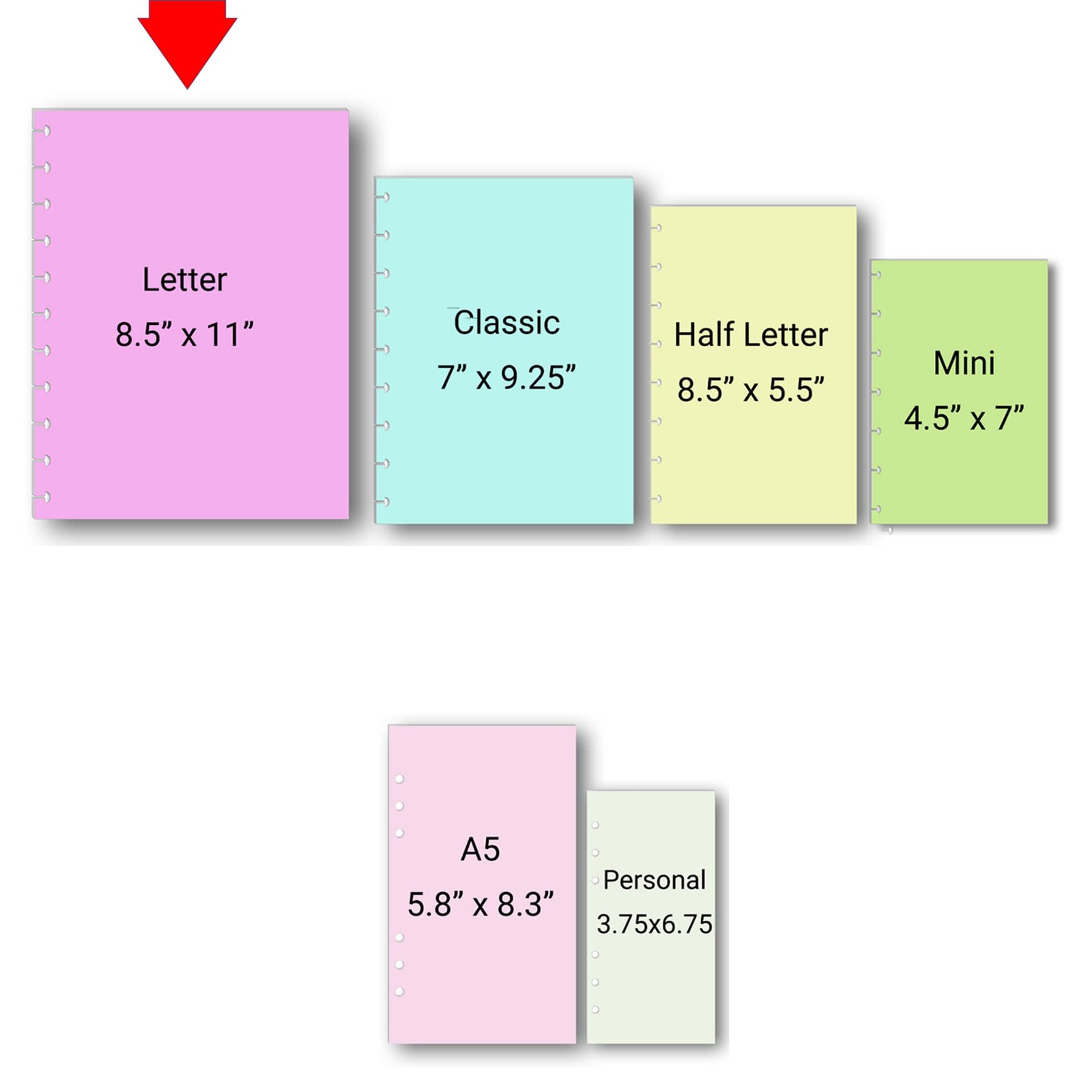 Classroom Checklist Refills for 11-Disc Letter Size Small, Multicolor