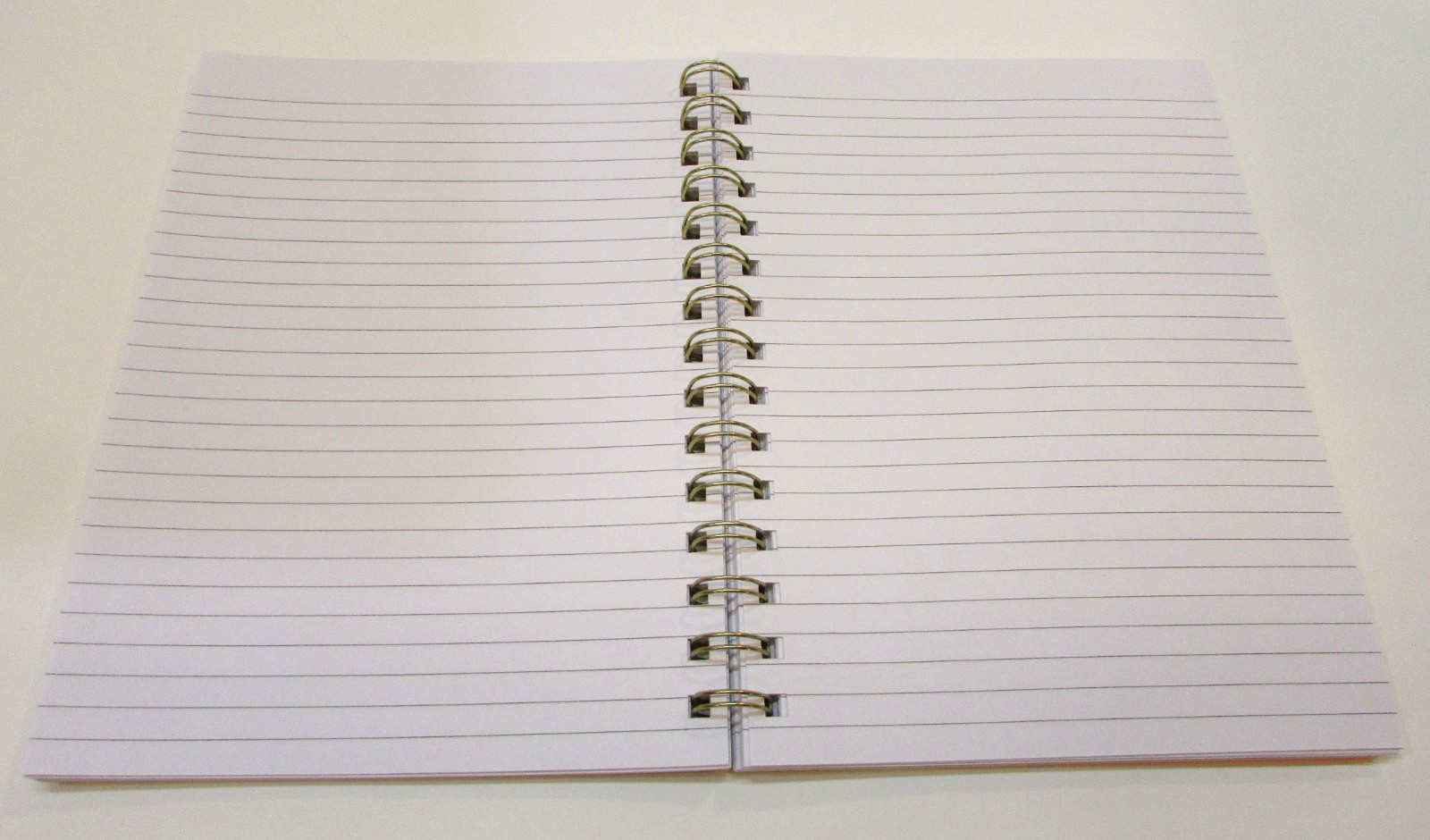 New Compendium 6×8 Mountain Forest Softcover Spiral Journal Choose Your Path