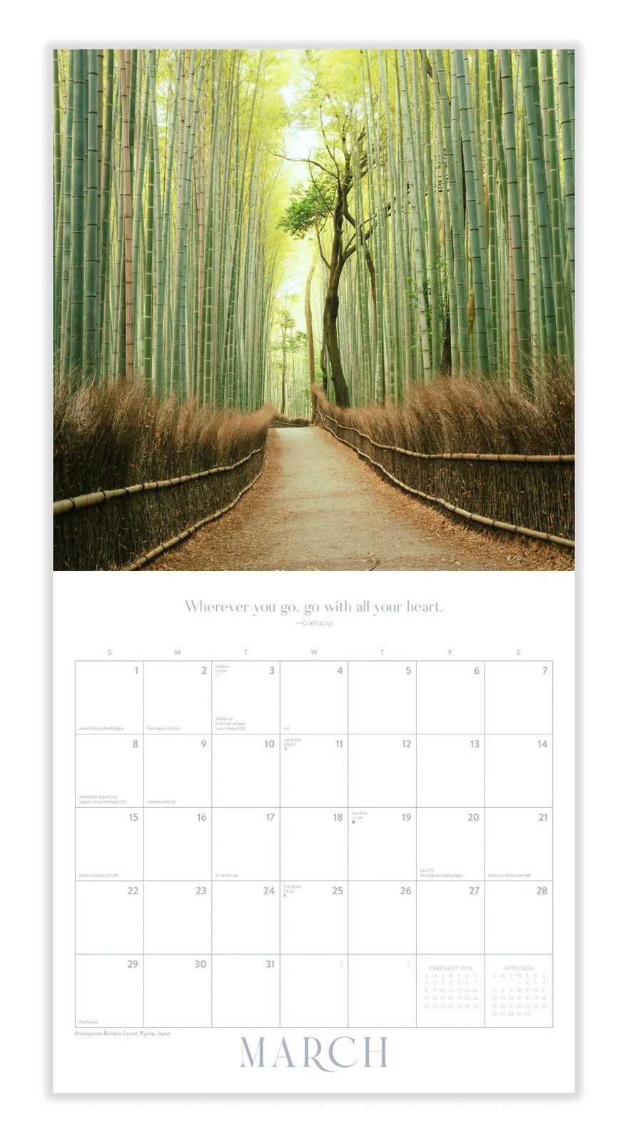 Pathways Calendar 2026 | 12″ x 24″ 12 Month Calendar | Marble City Press