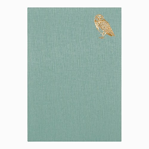 DESIGNPHIL MIDORI Notebook Diary Goodnight A Owl 12870006 Made in Japan