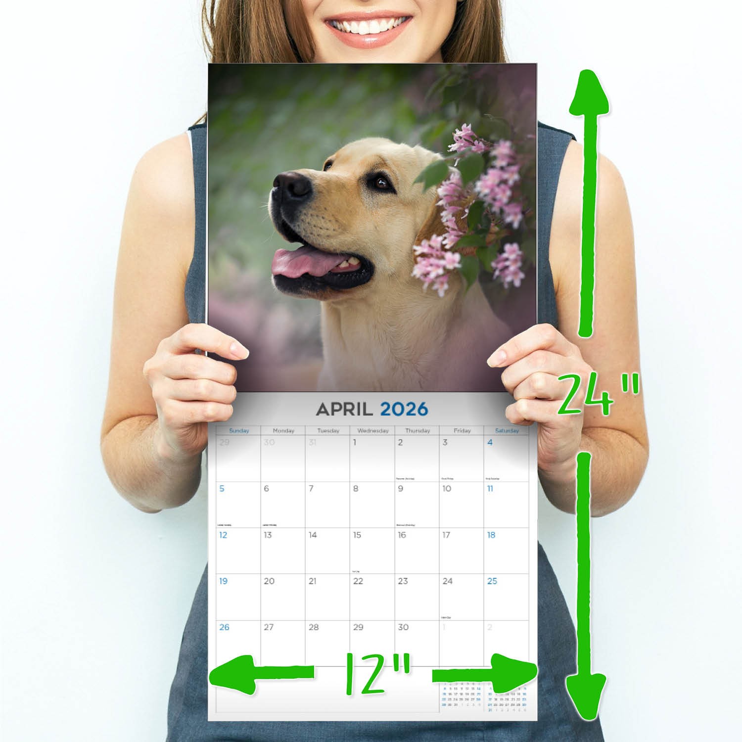 Yellow Labrador Calendar 2025 – Dog Breed Wall Calendar – Made in the USA!