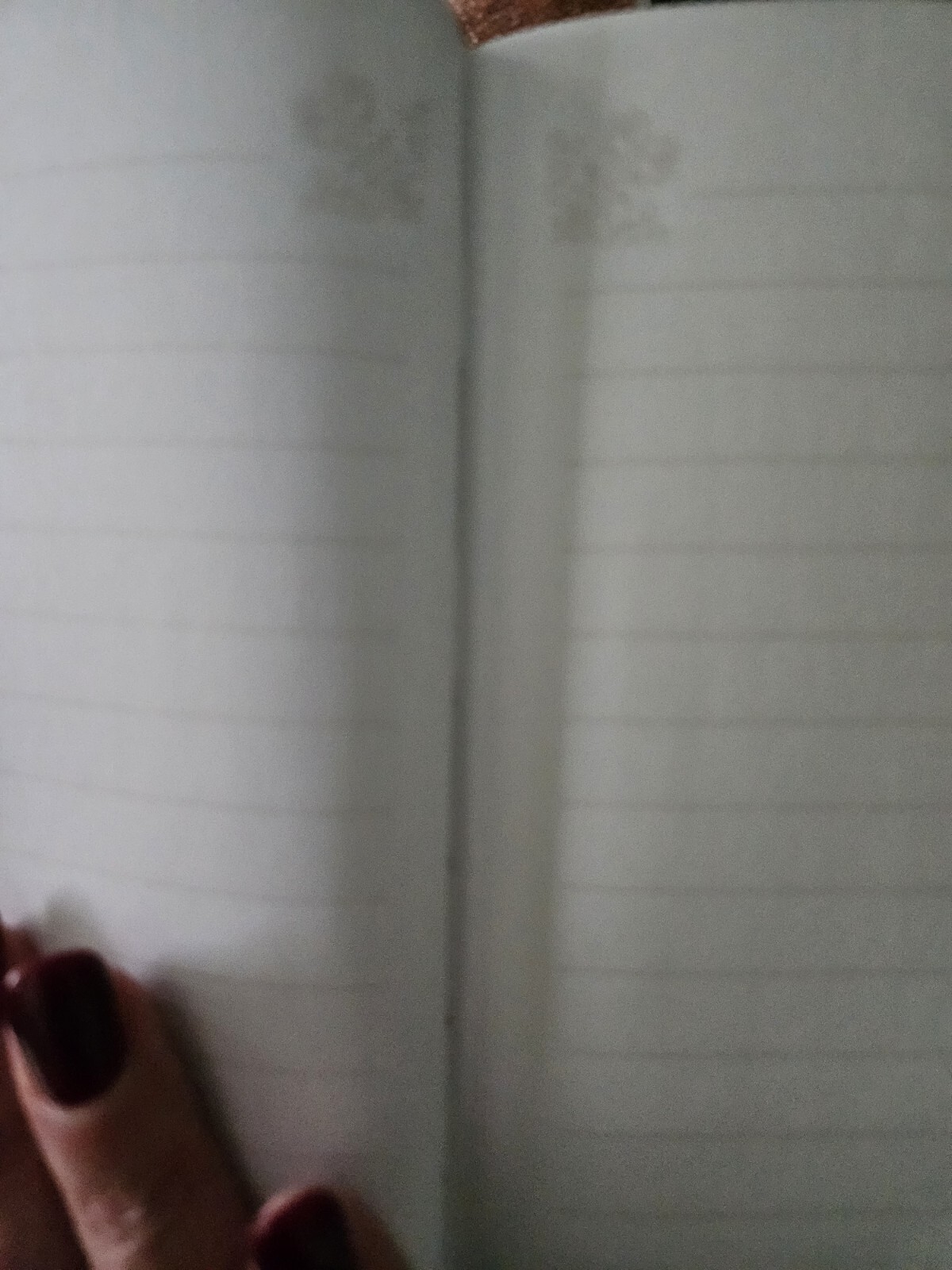 Inspirational Quote Hardcover Journal with Lined Pages & a page marker. Gold Pgs